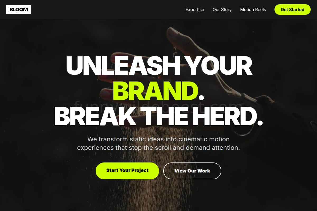 Bloom Motion Graphics