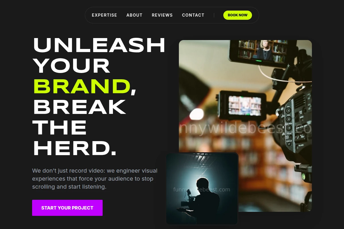 Neon Video Production
