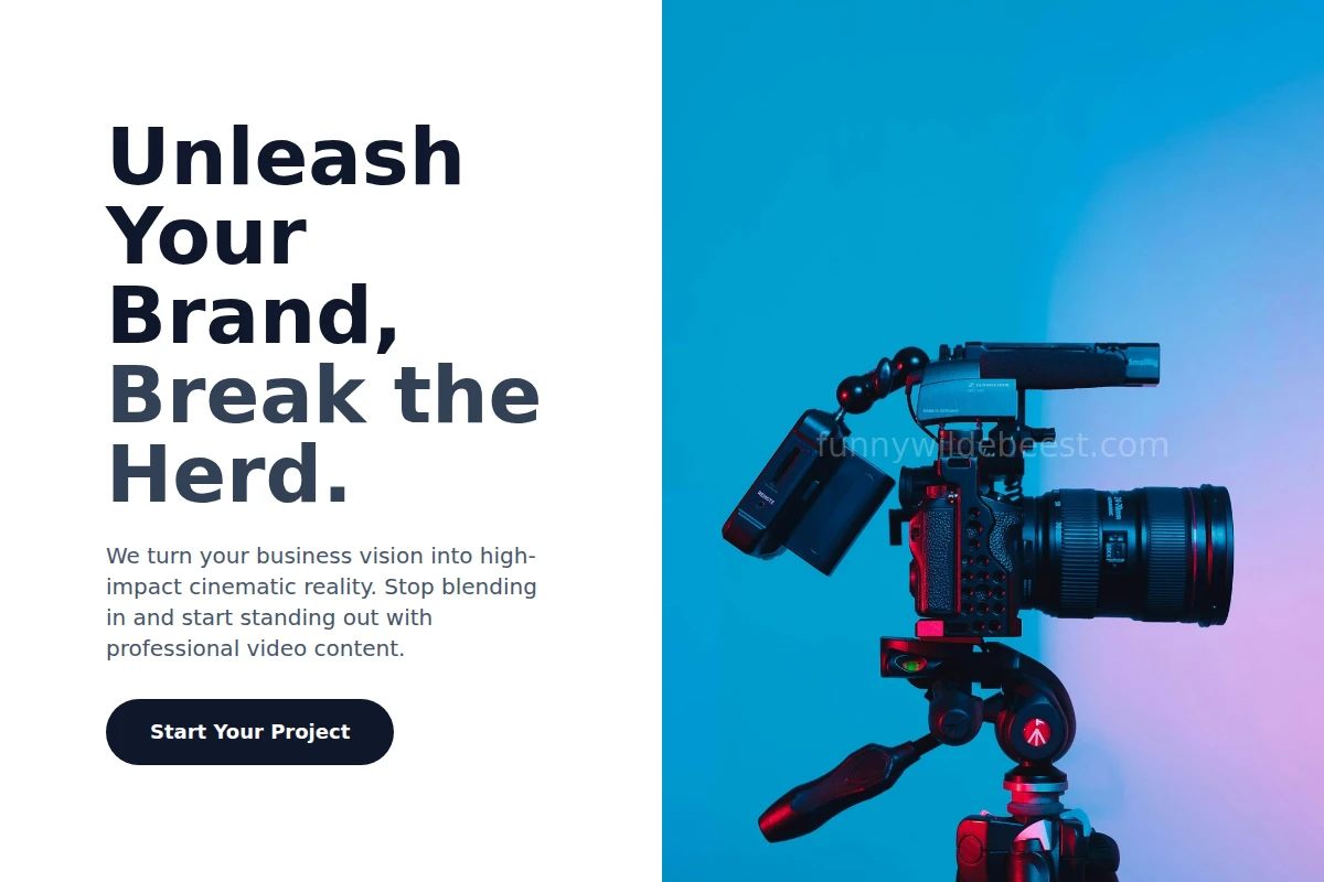 Tempo Video Production